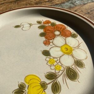 VTG Woodhaven Collection Sunnybrook Dinner Plates